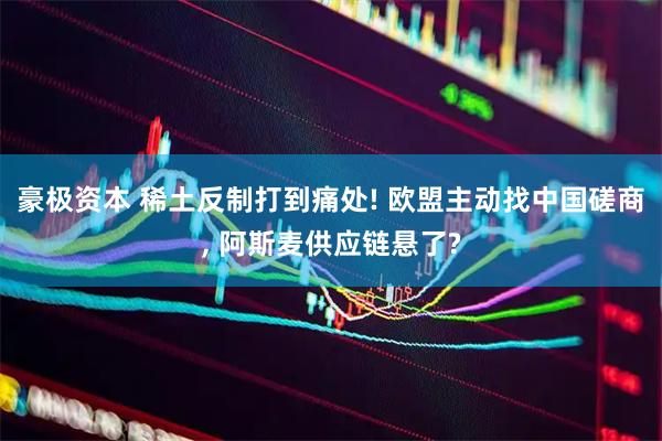 豪极资本 稀土反制打到痛处! 欧盟主动找中国磋商, 阿斯麦供应链悬了?